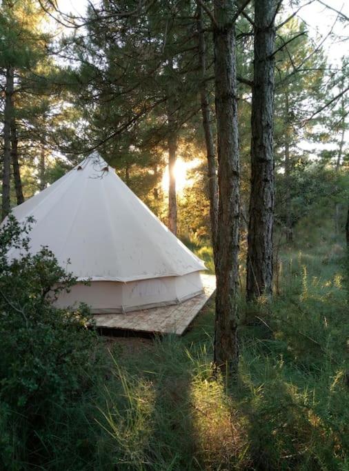 Forest Days Navés Exteriör bild