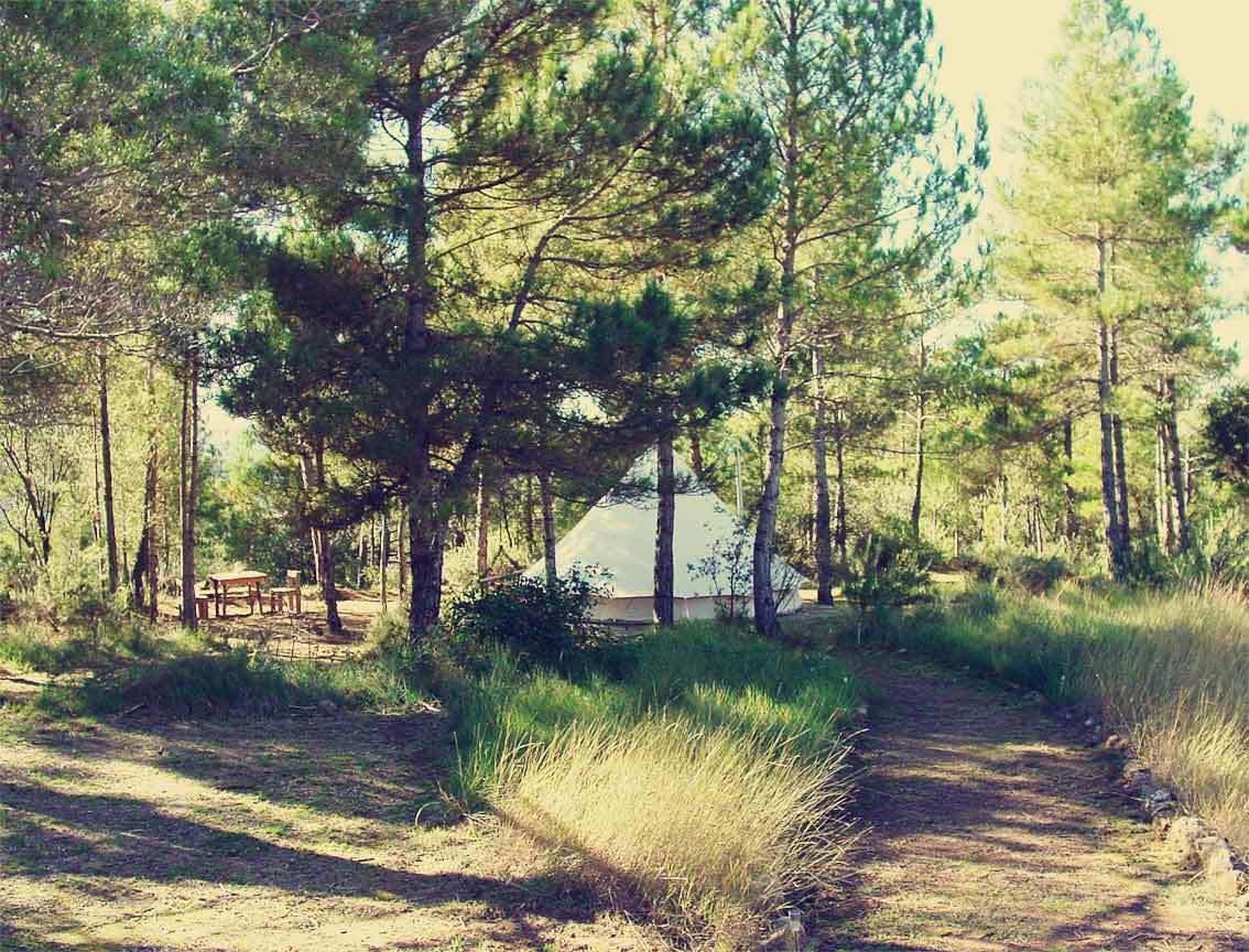 Forest Days Navés Exteriör bild